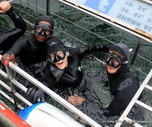 Sky to Sea: Georgina Harwood's once in a lifetime experience